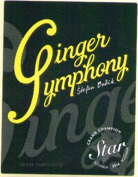 Ginger symphony 1