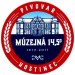 Muzejna